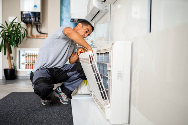 Best Air Duct Mold Removal  in New Berlin, WI